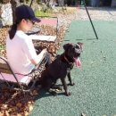 소풍게스트하우스&레드썬셋펜션 이미지