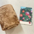 동백A(1차) | 한겨울 얼굴부터 바디까지 제주 동백오일 하나로 해결하기