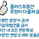 에그셀런트다산 이미지
