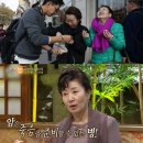 눈;꽃처럼