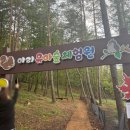 하이원당구장 이미지