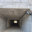 능내자전거도로(봉주르)[능내-5] | 남양주 팔당–능내역 러닝 코스 | 런린이도 즐기는 힐링 루트 추천