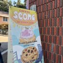 부송동-17 | [익산 부송동 카페 추천] 아기자기한 소품 + 스콘 먹는 행복 &#34;치미&#34; 카페