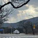 척산시장 | 강원도 속초여행 코스 추천 척산온천휴양촌 가족탕 2인실 후기