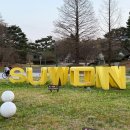 동수원로 | 수원 효원공원 월화원 벚꽃 주차 데이트 아이와 가볼만한 곳