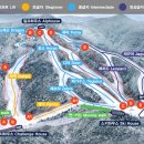 알프하우스 | 서울 근교 스키장 "엘리시안 강촌" 추가 후기 및 추천