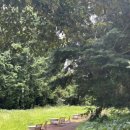 제주 와일드 이미지