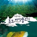 댕글댕글 이미지