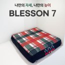 참조은복지용구 | 복지용구 욕창예방방석 블레손7(BLESSON 7), 부모님 엉덩이 통증 해결할 수 있는 3가지 이유