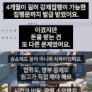 생일카페 대관해줬다가 고소까지 가게된 카페 사장님.insta 이미지