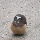 야후PC방 이미지