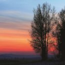 나의살던고향은 이미지