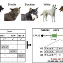 'Genomics' 논문의 신뢰성에 대해서 이미지