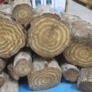 정성건강원 이미지