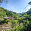 야생화마을펜션민박 이미지