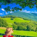 양화목장 이미지