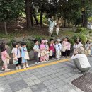 매미 밥을 만들어요🦗💚 이미지