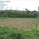 광천읍 운용마을회관 네이버블로그