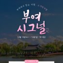 나비&amp;아지 애견샵 | 2026년 상반기(2) 3기 활동 끝, 새로운 시작