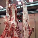 토우축산 이미지