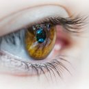 50대 이상, 눈 나빠지면 ‘망막혈관’ 점검해야 이미지