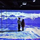 미니주동물병원 투어코리아