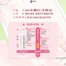 봉평동 새마을금고 앞 ∼ 용화사 입구 | 2024 통영 봉숫골 축제 벚꽃 개화시기 용화사 주차 버스노선 정보