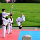 기합소리태권도 이미지