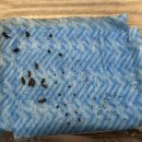 노보리지 이미지