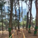 청파초교(병설유치원) 이미지