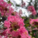 나무유통 이미지