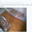 효정농장 이미지