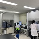 내서농산물도매시장 이미지