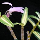 학림농장 이미지