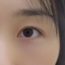 아산밸리남로 | 아산속눈썹 더이지뷰티랩 : 유지력과 디자인 다 잡은 정착 후기
