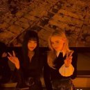 맨조이 Daum카페