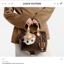 알마코리아 (유) | [루이비통] 다이앤 가방 M45985 내돈내산 후기