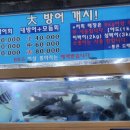 통큰도매횟집 이미지