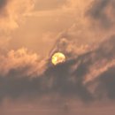 해넘이농장 이미지