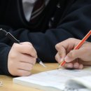 워리스 경향신문
