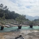 올리브원 이미지