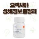 오넥시아 성분 효능 효과 부작용 복용법 상세 정보 총정리