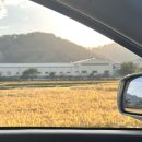 이따가다 | 48. 무르익은 가을 속, 첫 경북 청도 방문 이따가다 펜션 후기