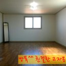 삼도동주민센터 Daum카페