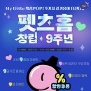 쏘울메이트 | 강아지 사료 추천 쏘울메이트 에어드라이 비프 급여 후기 / 펫츠홈 9주년 행사