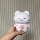 네?제가맨날천날아픈사람으로보이시나요? [8/12~8/18 주간일기]