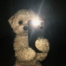 카페더행복