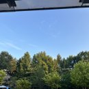 오늘의 하루🍅 이미지