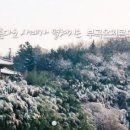 일성콘도천연옥사우나 네이버블로그