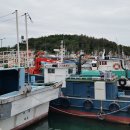 어업의 종류 : 어업의 허가 등 - 수산업법 이미지
